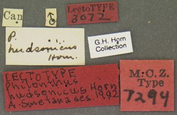 Media type: image;   Entomology 7294 Aspect: labels